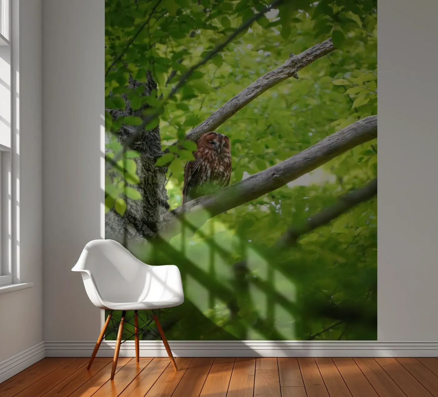 Bosuil fotobehang van Tom's Wildlife