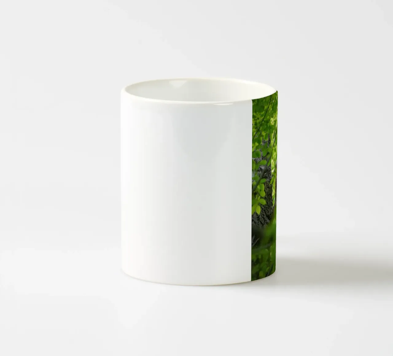 Allocco tazza in ceramica da Tom's Wildlife