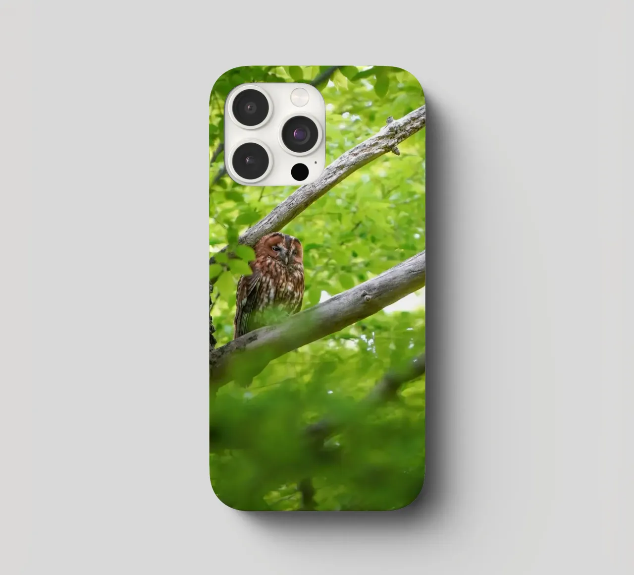 Allocco cover iphone da Tom's Wildlife