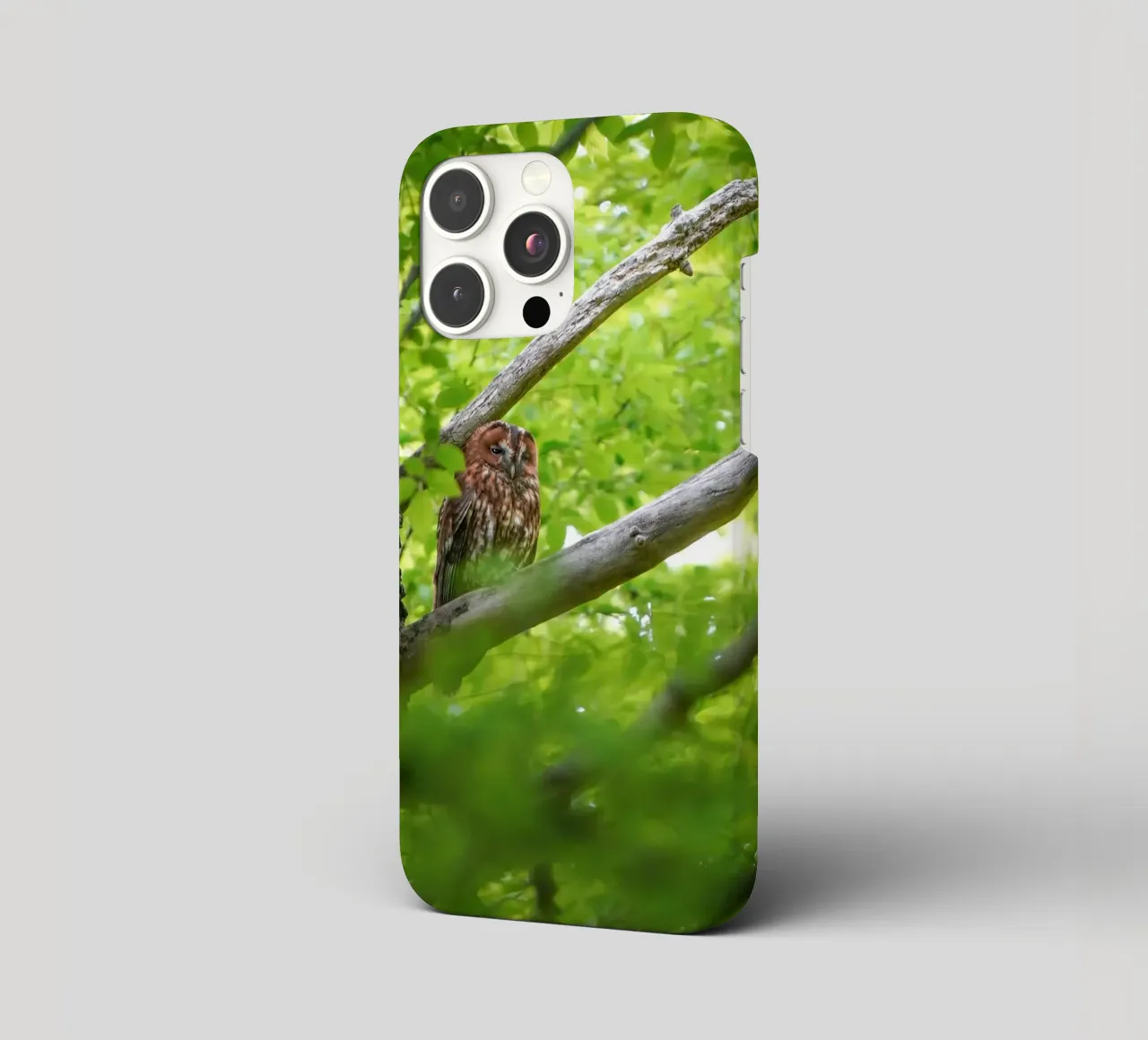 Allocco cover iphone da Tom's Wildlife