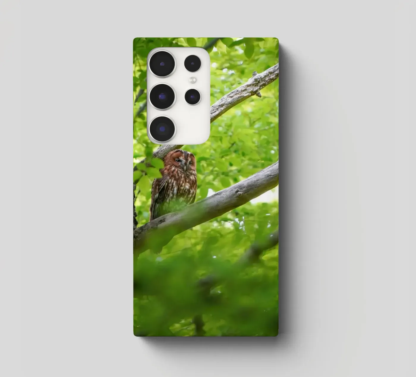 Allocco cover samsung da Tom's Wildlife