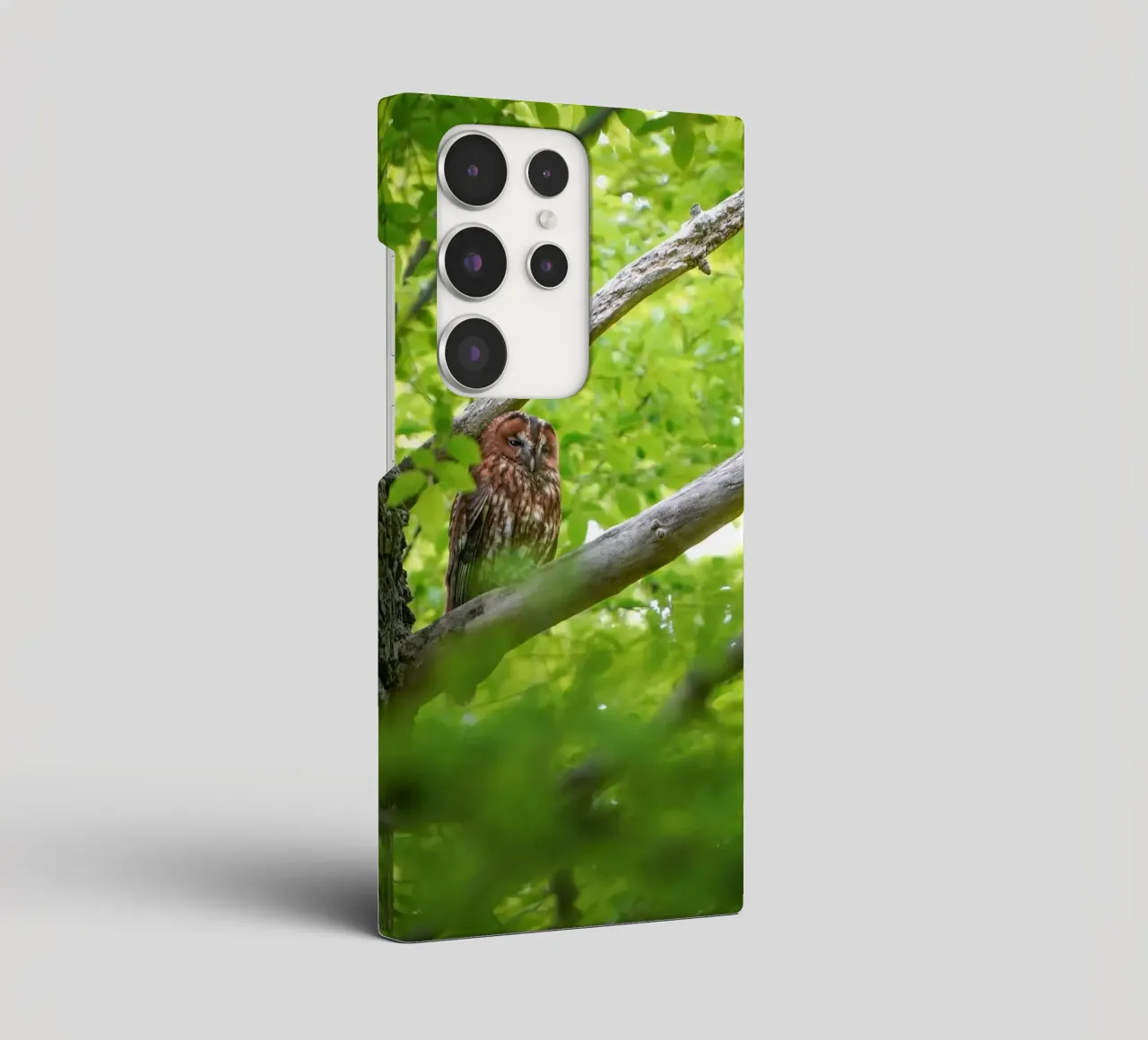 Allocco cover samsung da Tom's Wildlife