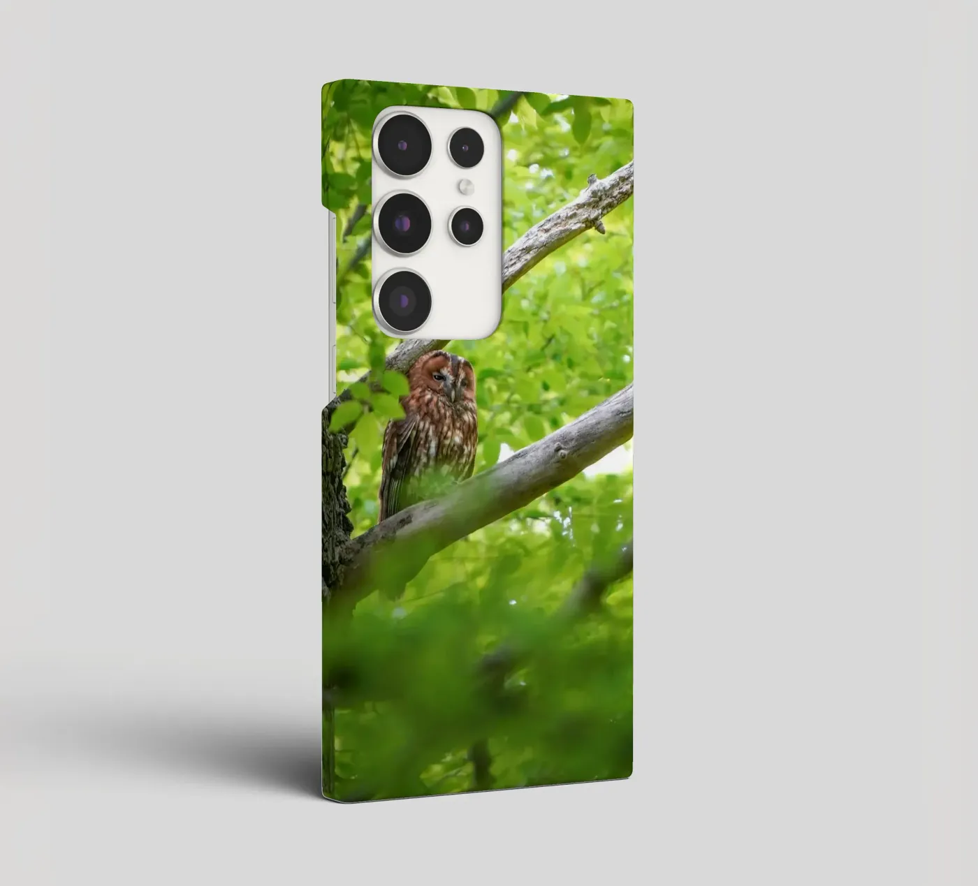 Allocco cover samsung da Tom's Wildlife