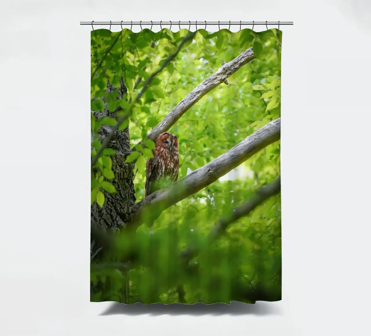 Chouette hulotte rideau de douche de Tom's Wildlife