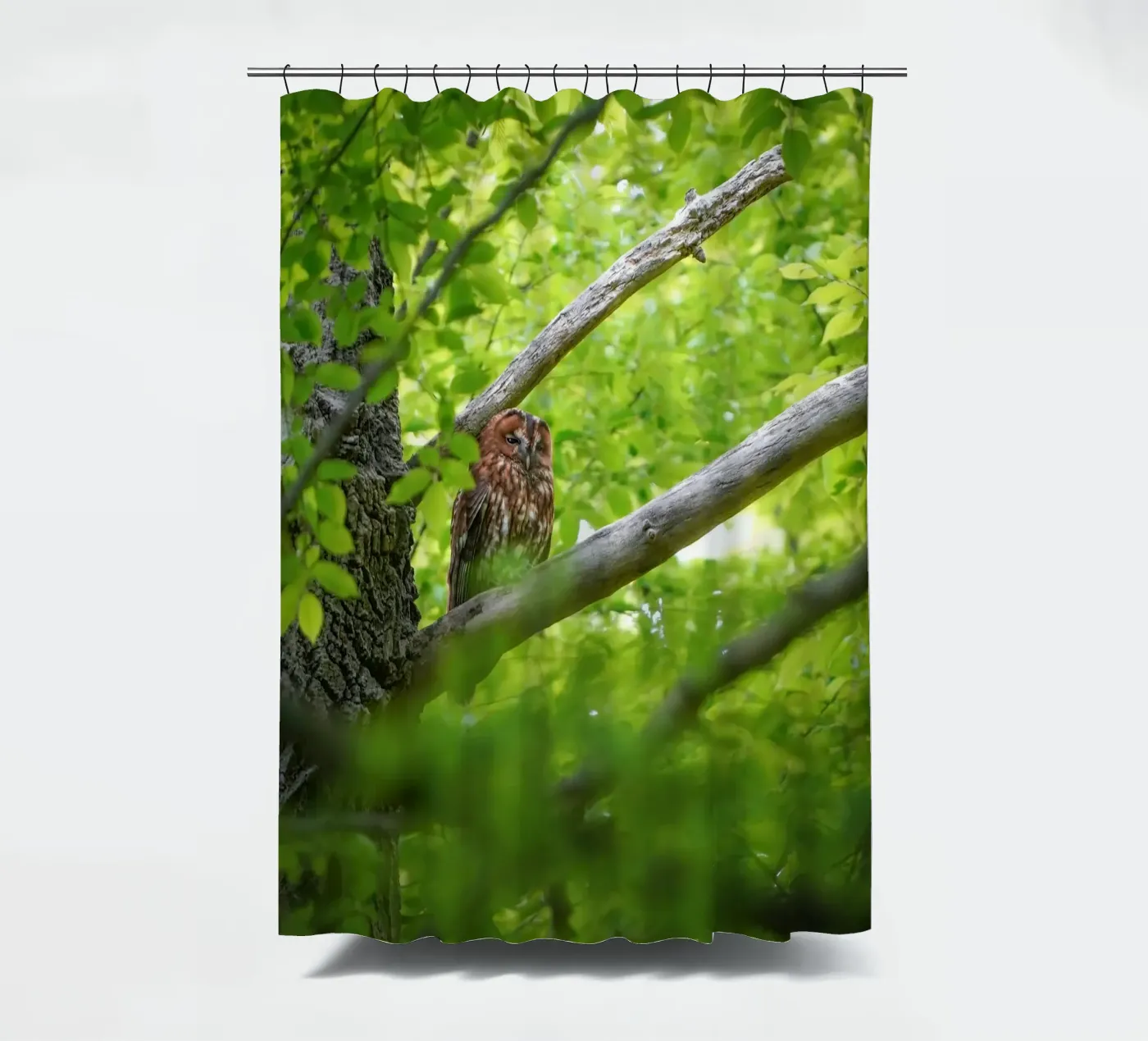 Tawny Owl douchegordijn van Tom's Wildlife