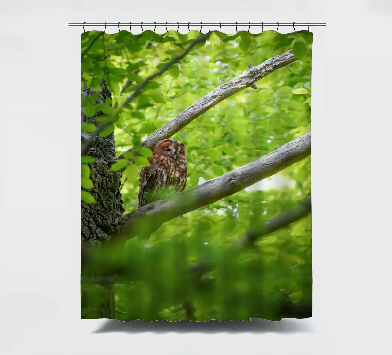 Chouette hulotte rideau de douche de Tom's Wildlife