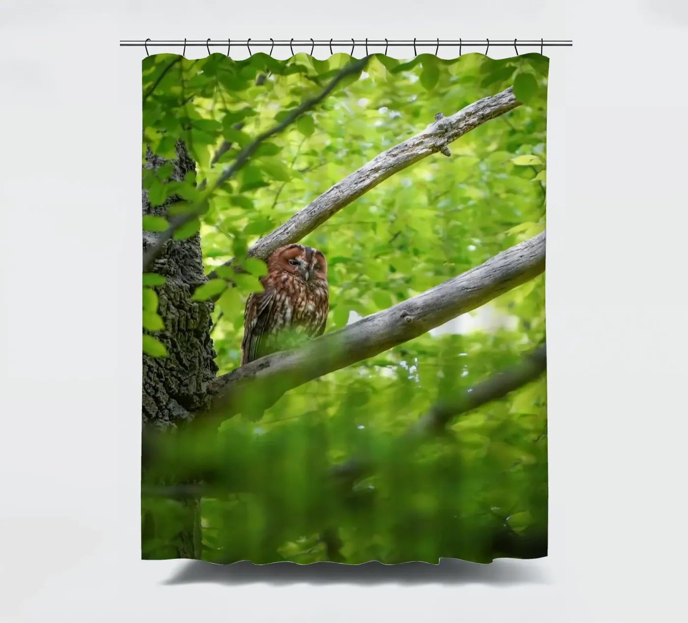 Tawny Owl douchegordijn van Tom's Wildlife