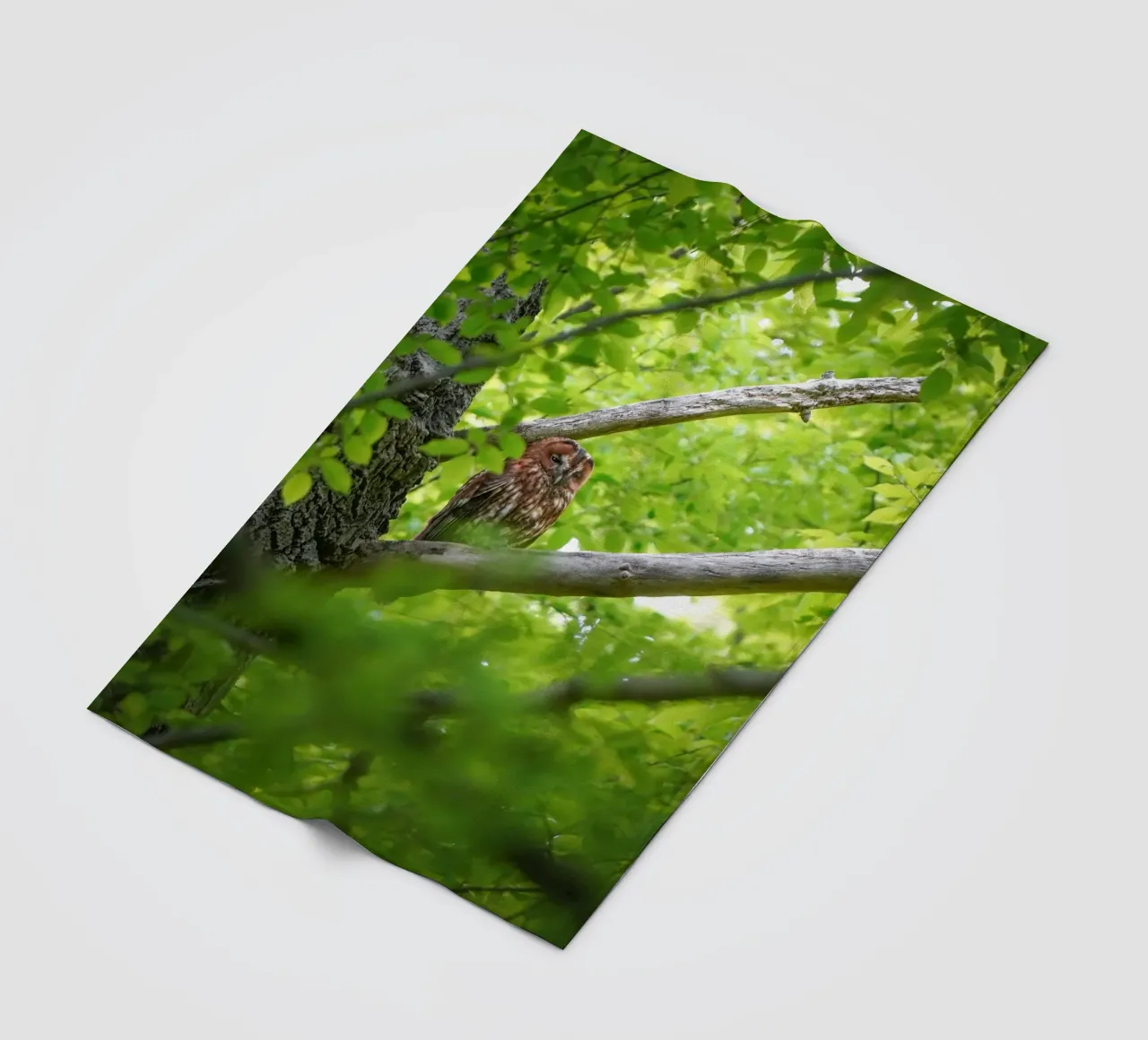 Allocco coperta in pile da Tom's Wildlife