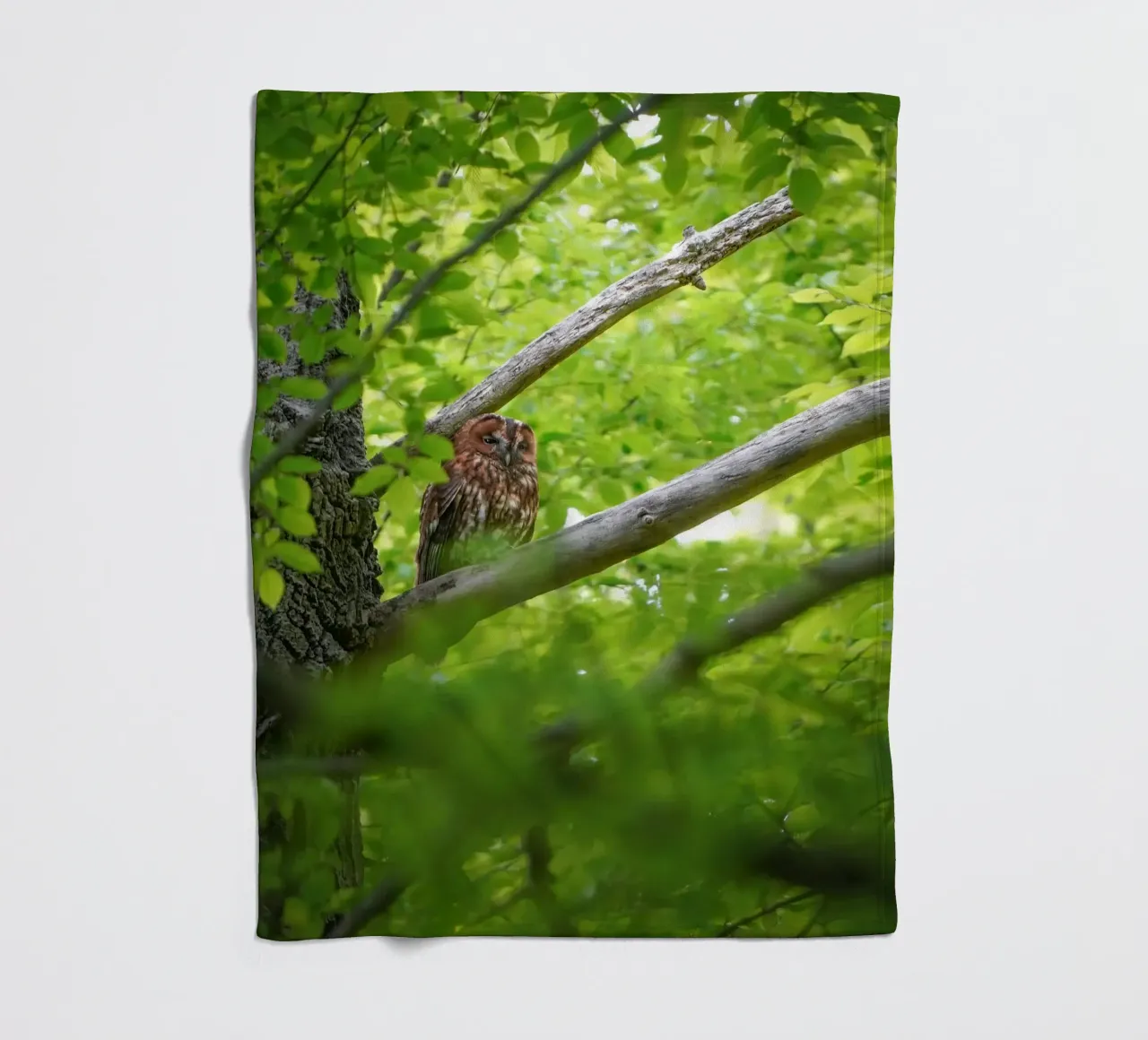 Allocco coperta in pile da Tom's Wildlife