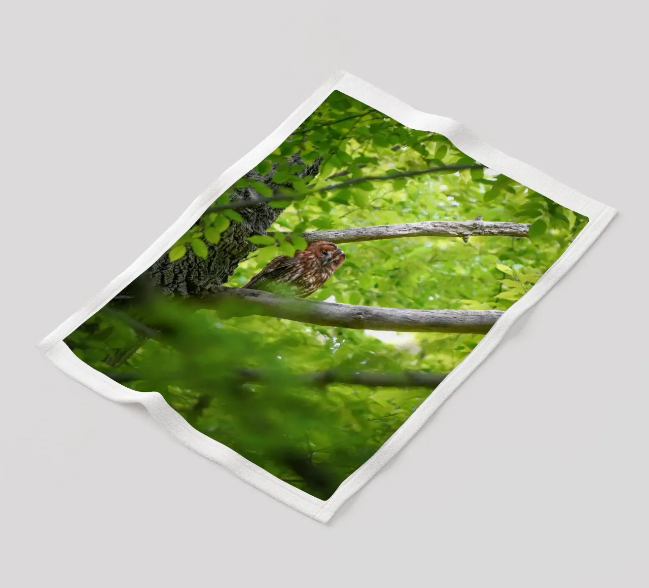 Allocco coperta in pile da Tom's Wildlife