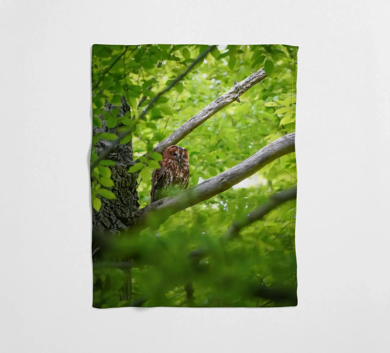 Allocco coperta in pile da Tom's Wildlife