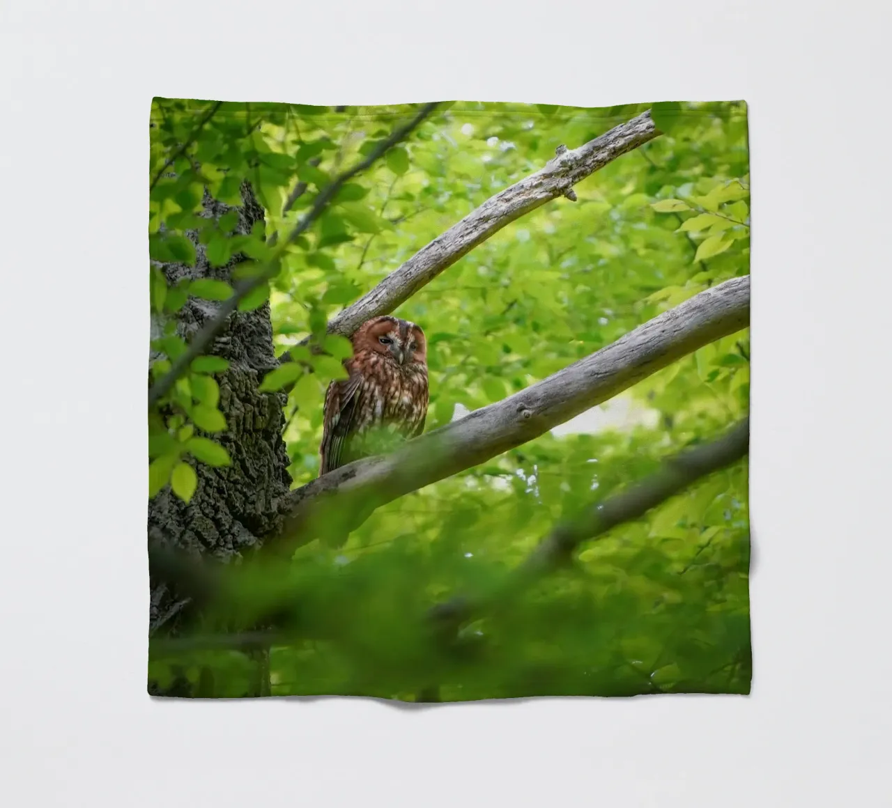 Allocco coperta in pile da Tom's Wildlife