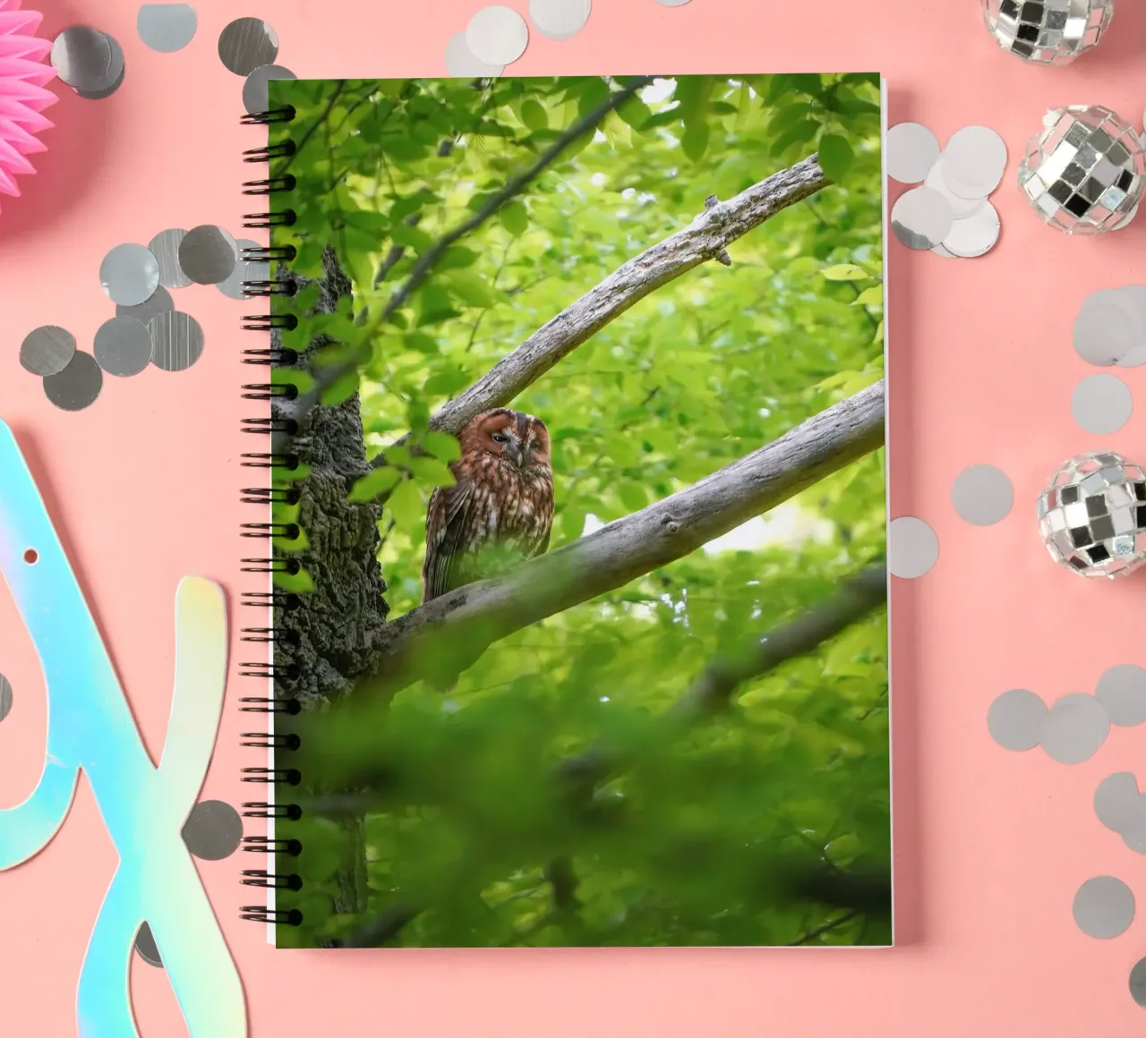 Tawny Owl spiral notebook by Tom's Wildlife