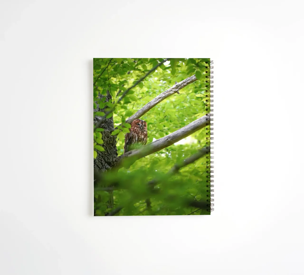 Tawny Owl spiral notebook by Tom's Wildlife