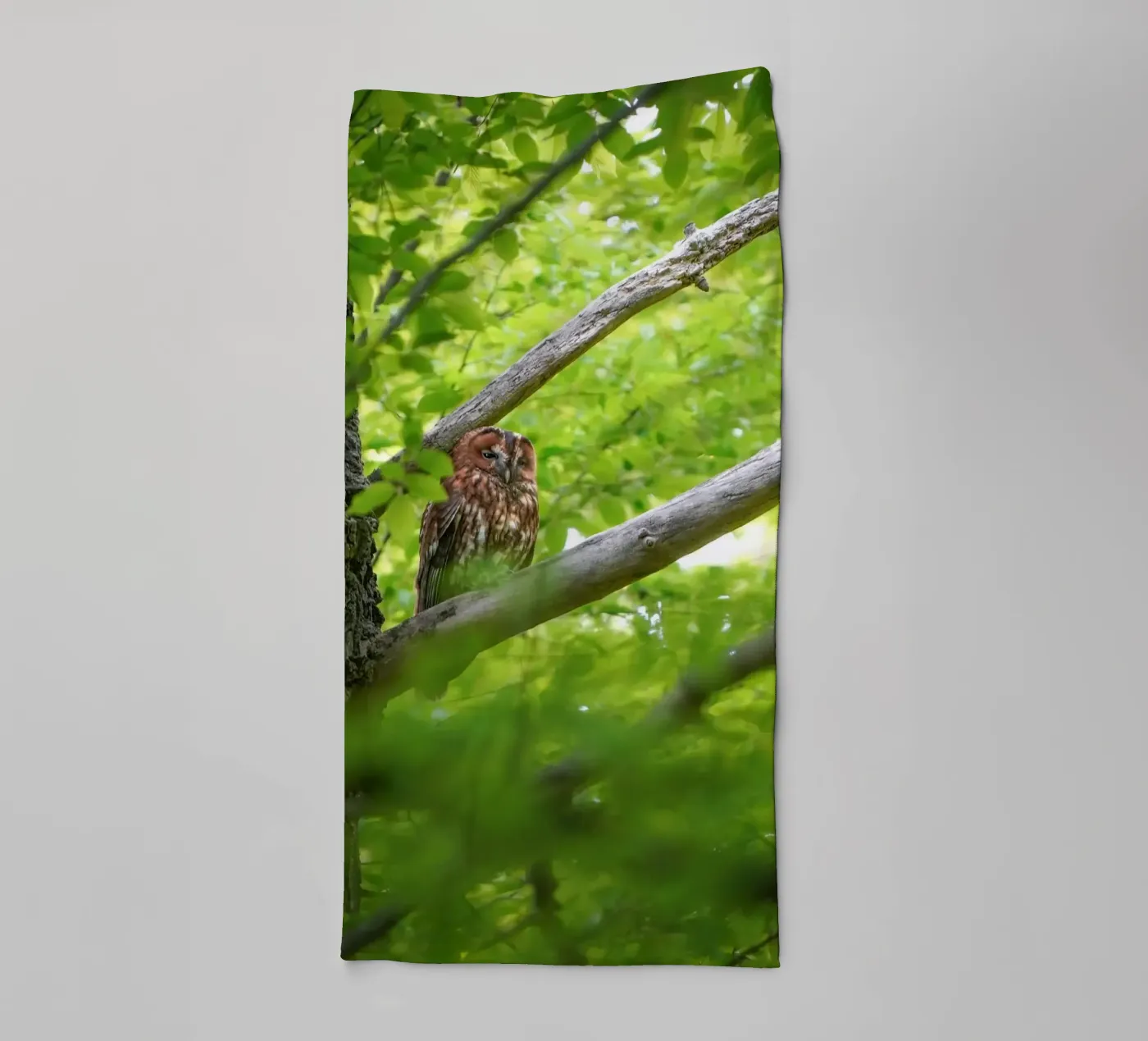 Waldkauz Handtuch von Tom's Wildlife