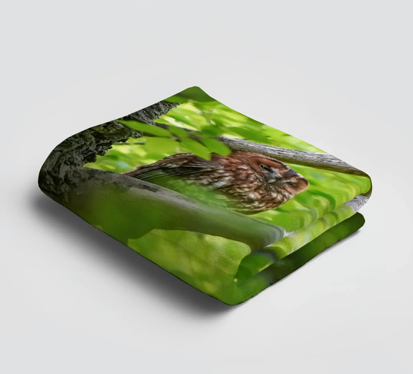 Waldkauz Handtuch von Tom's Wildlife