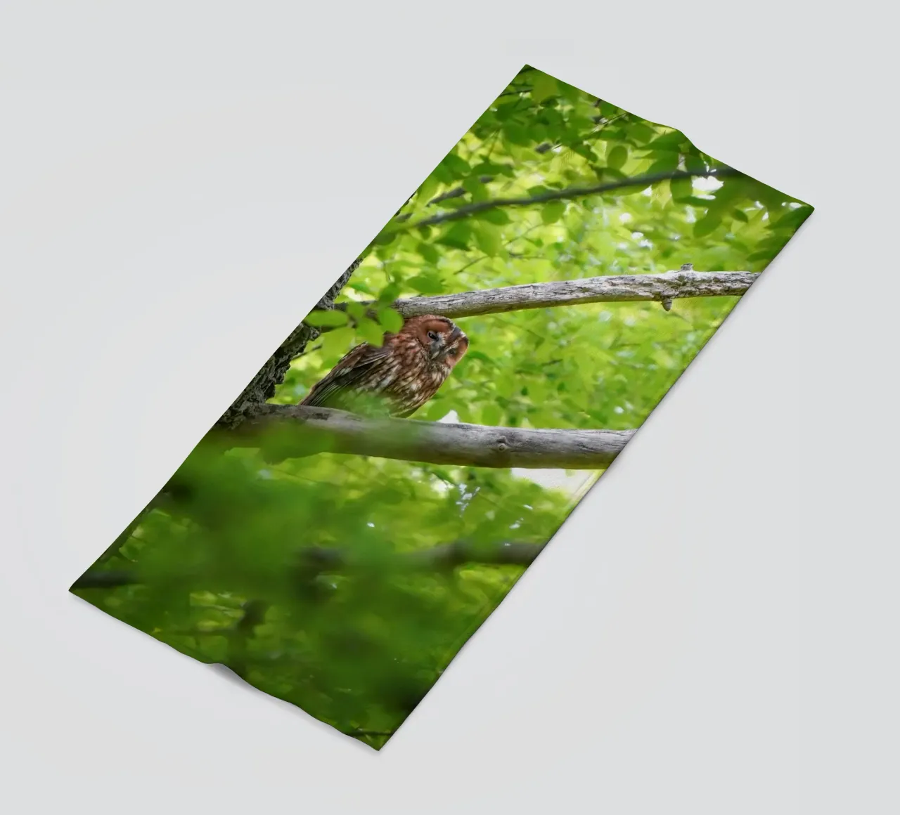 Allocco telo mare da Tom's Wildlife