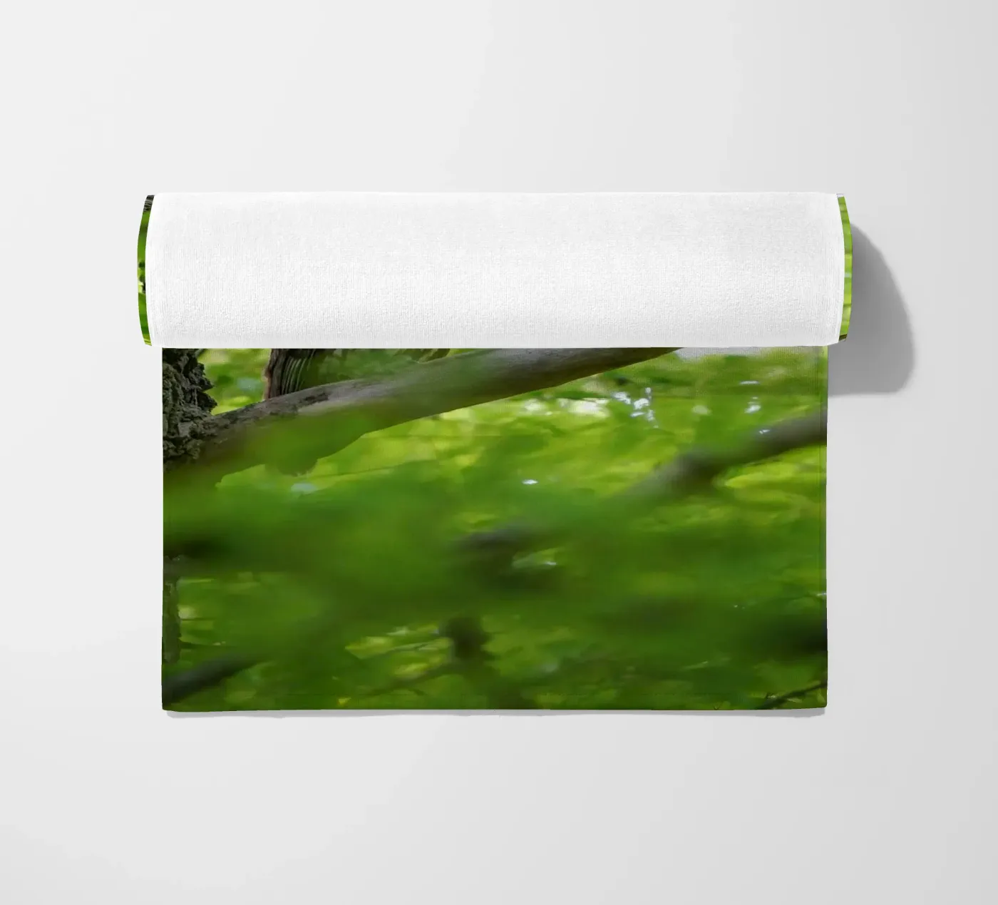 Allocco telo mare da Tom's Wildlife