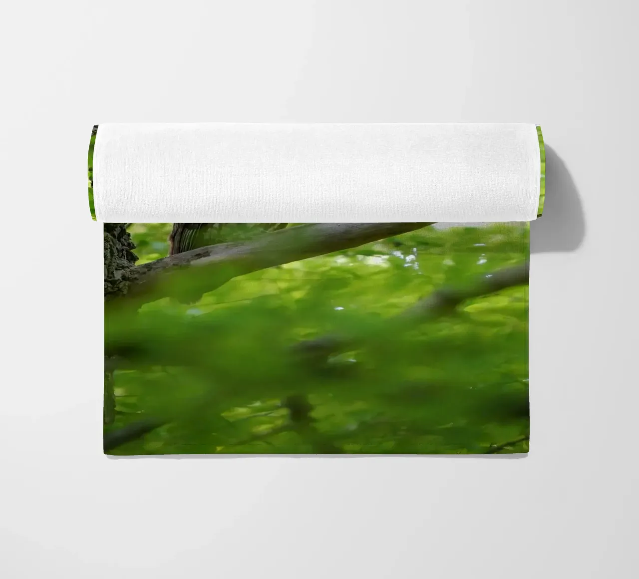 Allocco telo mare da Tom's Wildlife