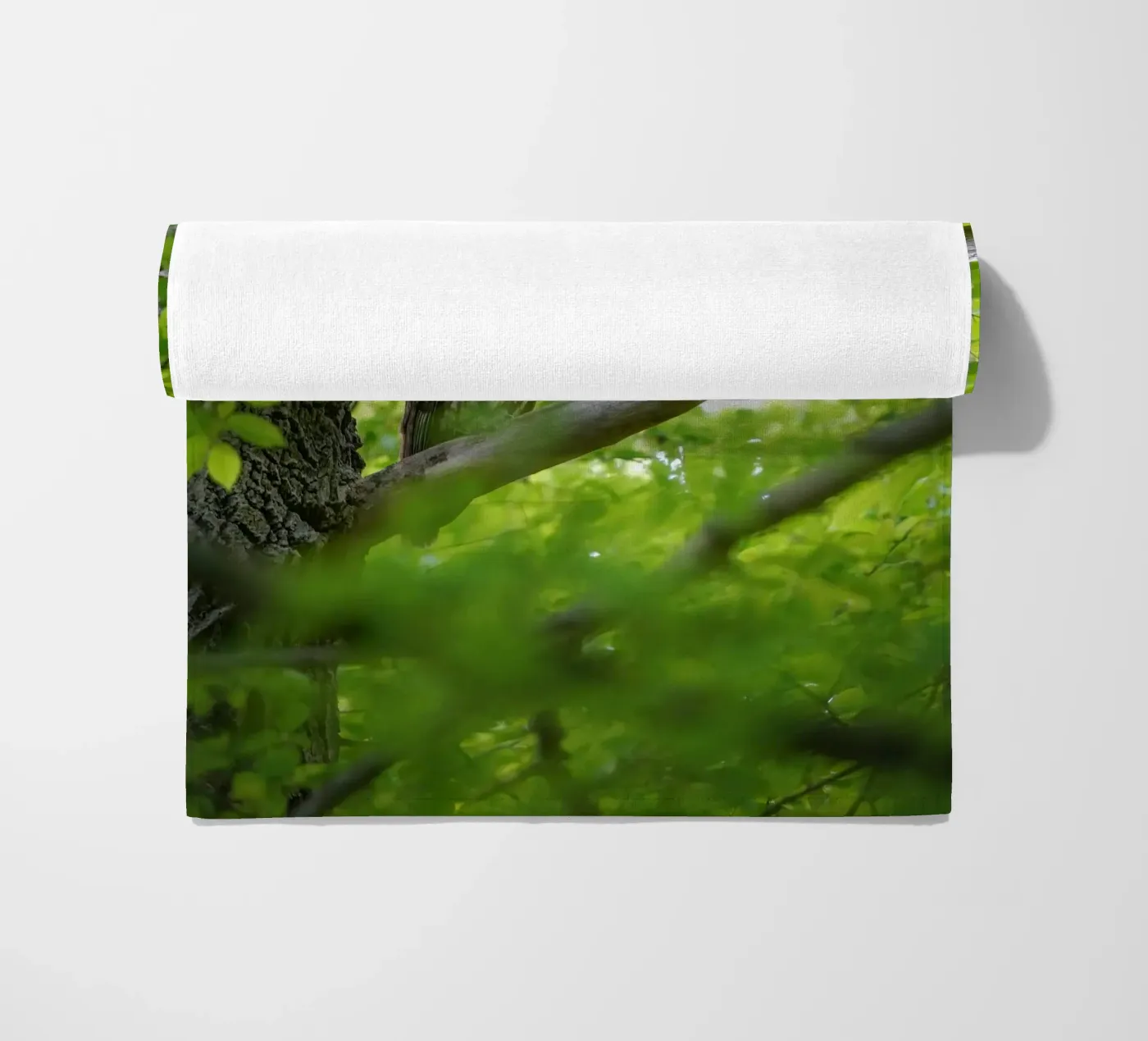 Allocco telo mare da Tom's Wildlife