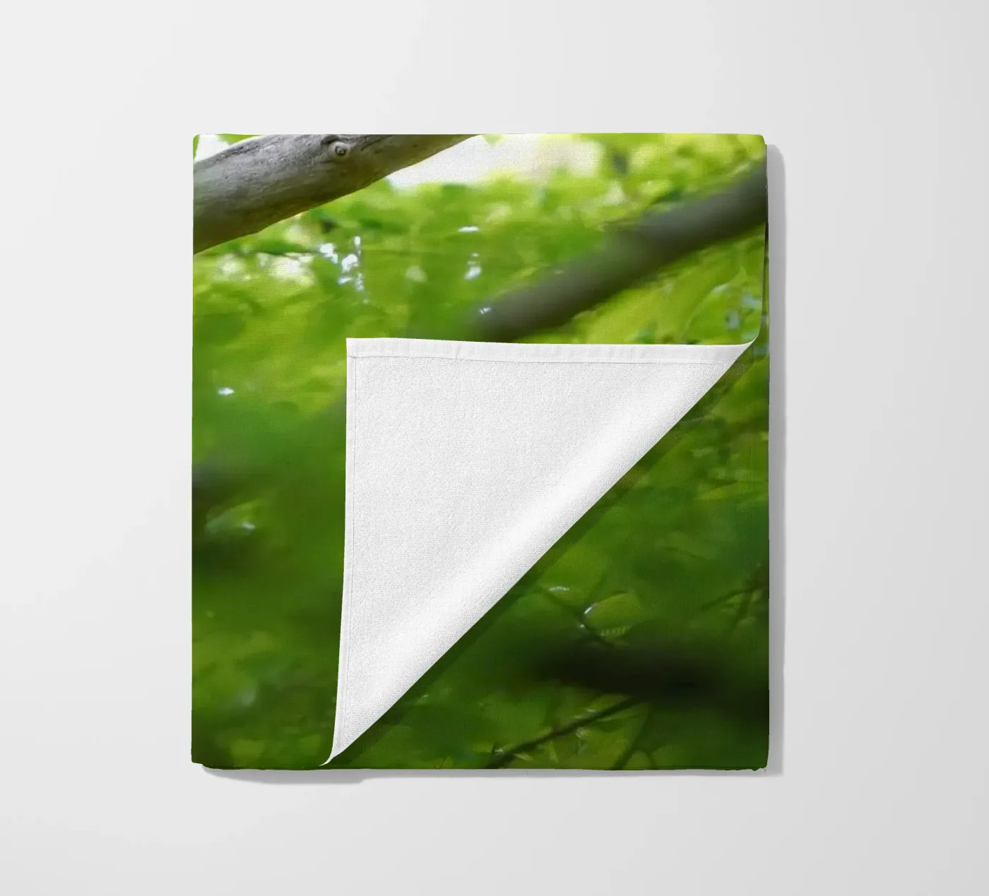 Allocco telo mare da Tom's Wildlife