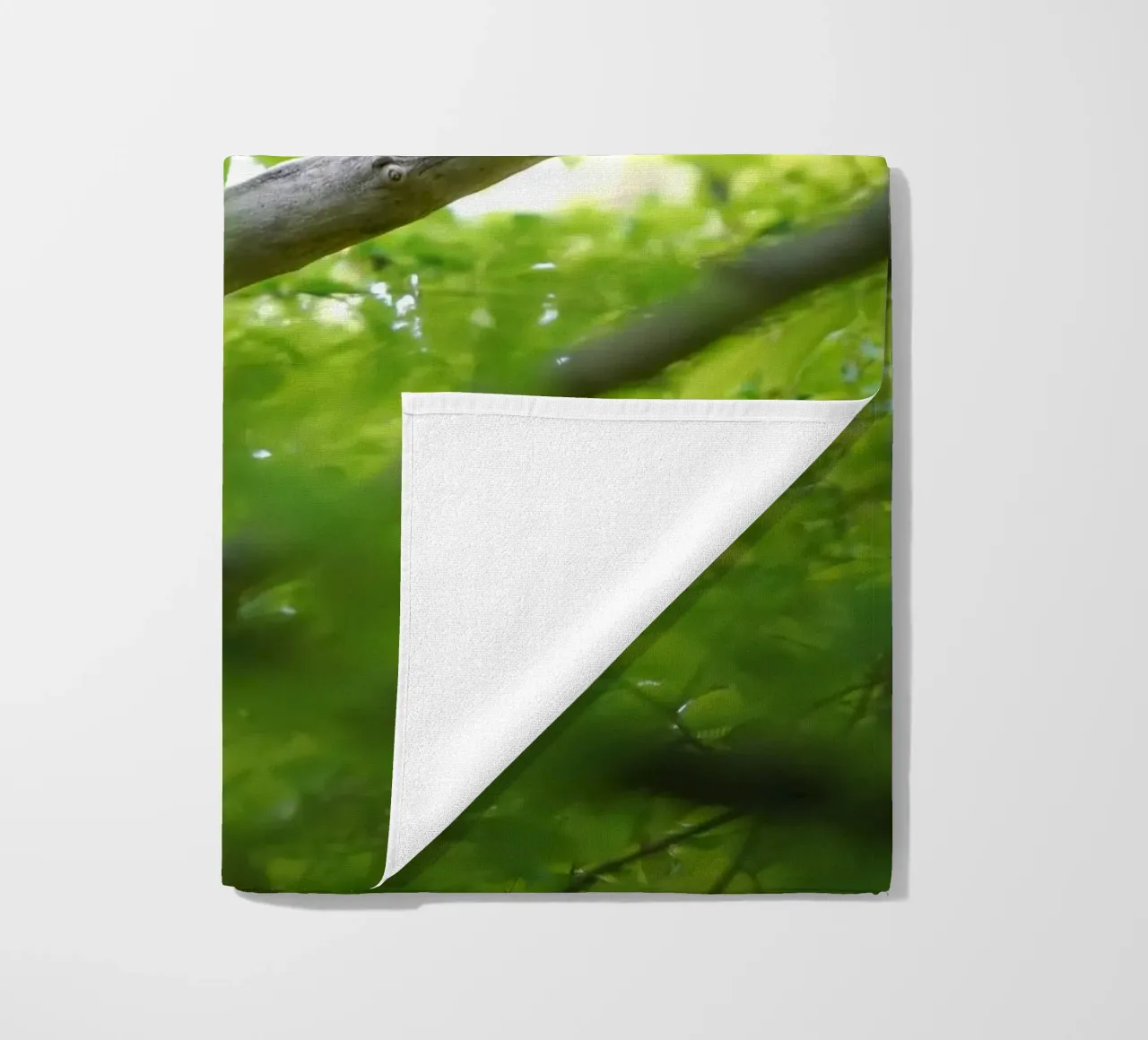 Allocco telo mare da Tom's Wildlife