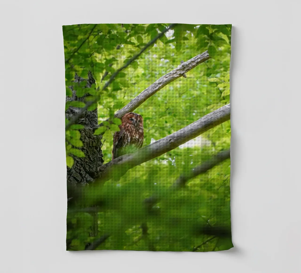 Allocco canovaccio da cucina da Tom's Wildlife