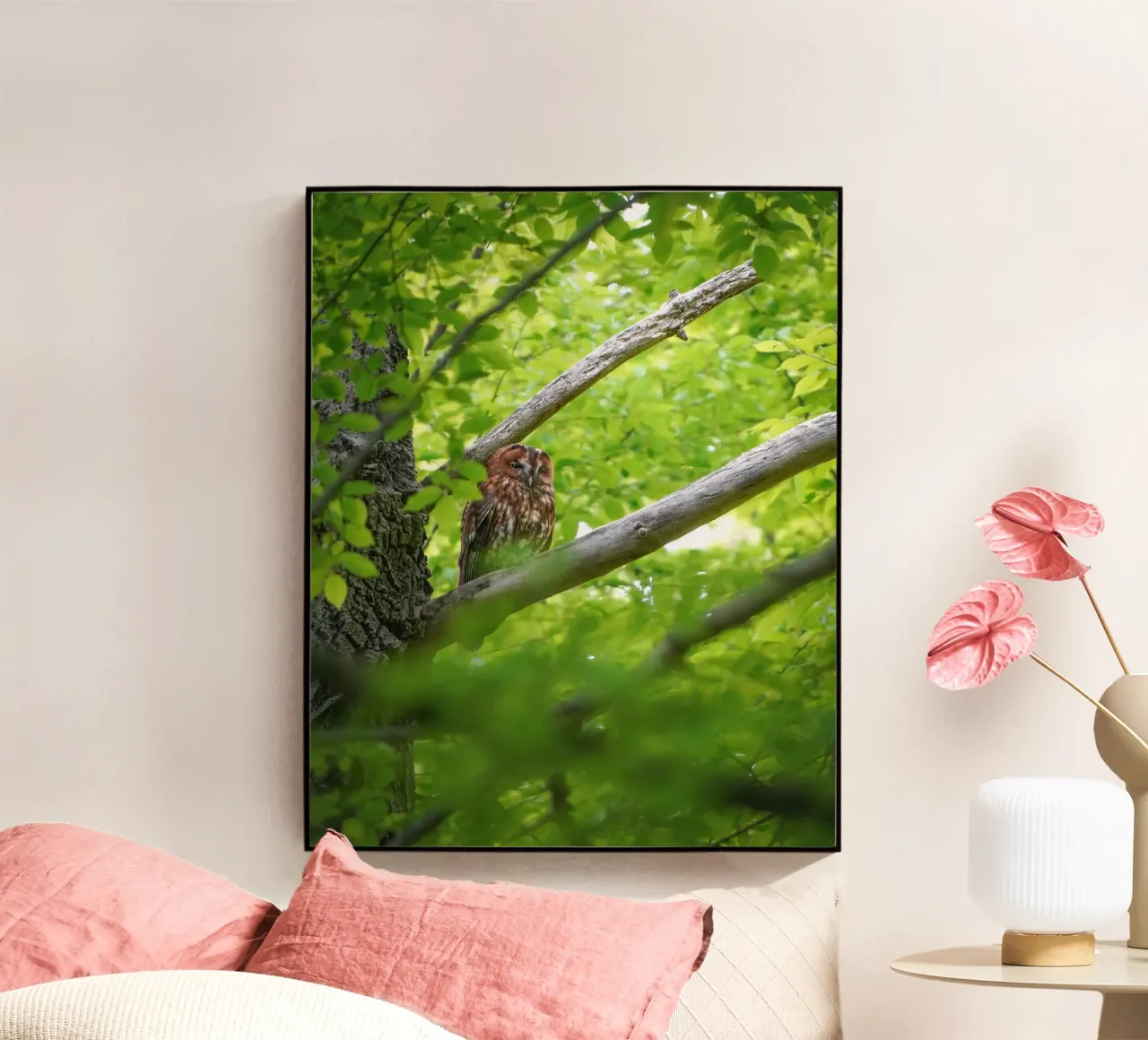 Allocco plexiglass da Tom's Wildlife