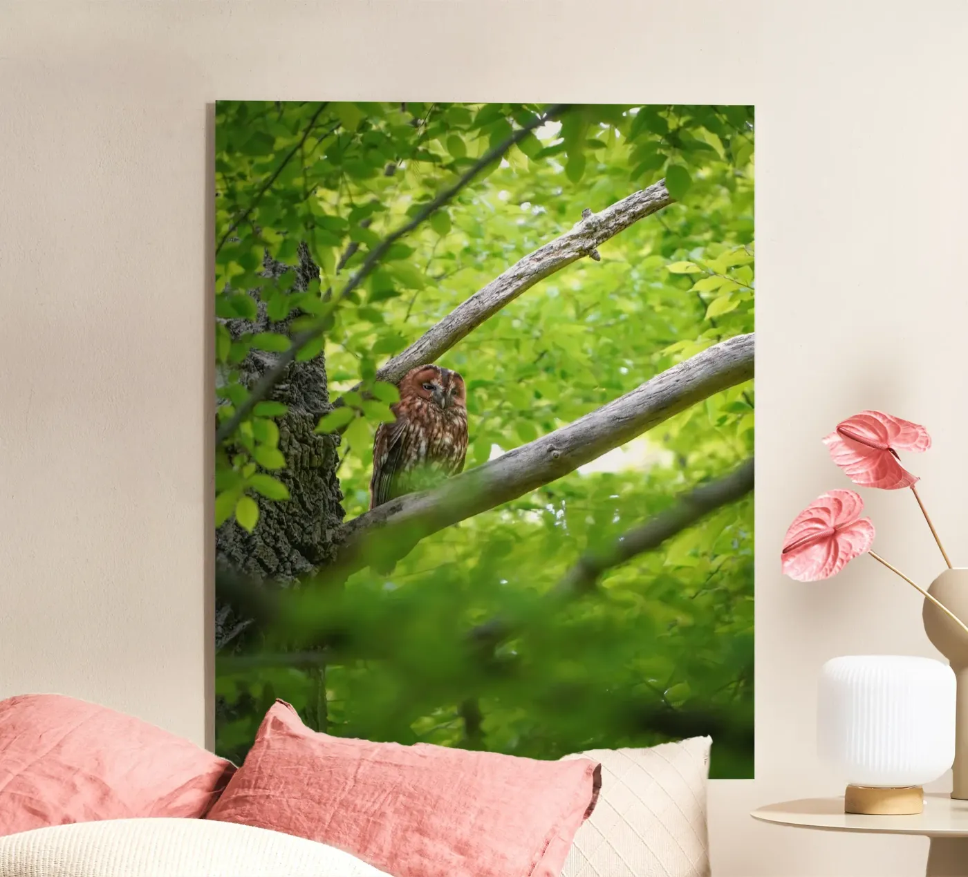 Allocco plexiglass da Tom's Wildlife