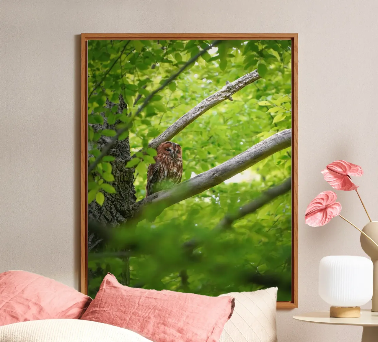 Allocco pannello forex da Tom's Wildlife