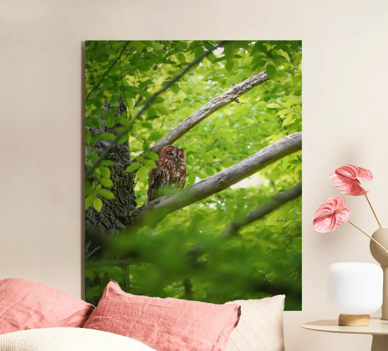 Allocco pannello forex da Tom's Wildlife