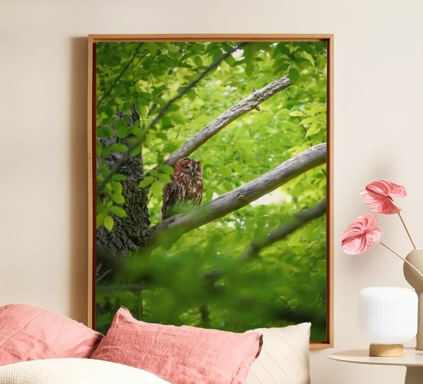 Tawny Owl tela da Tom's Wildlife