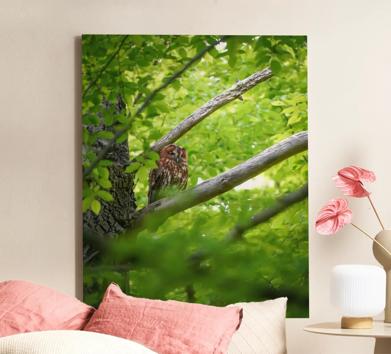 Tawny Owl canvas by Tom's Wildlife