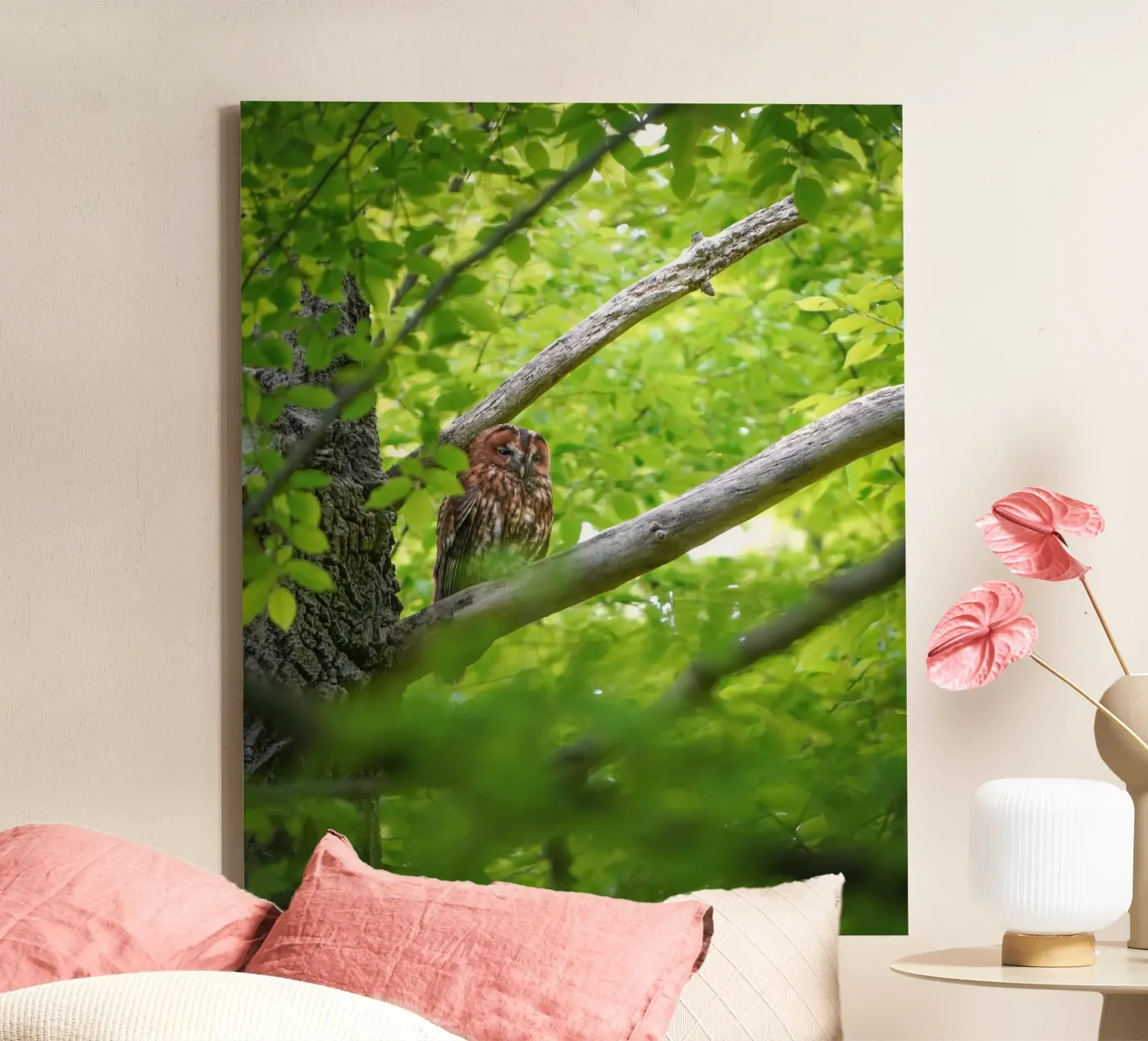 Chouette hulotte toile de Tom's Wildlife