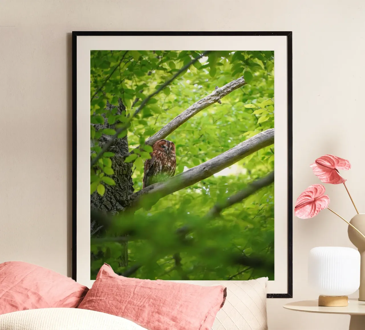 Chouette hulotte poster de Tom's Wildlife