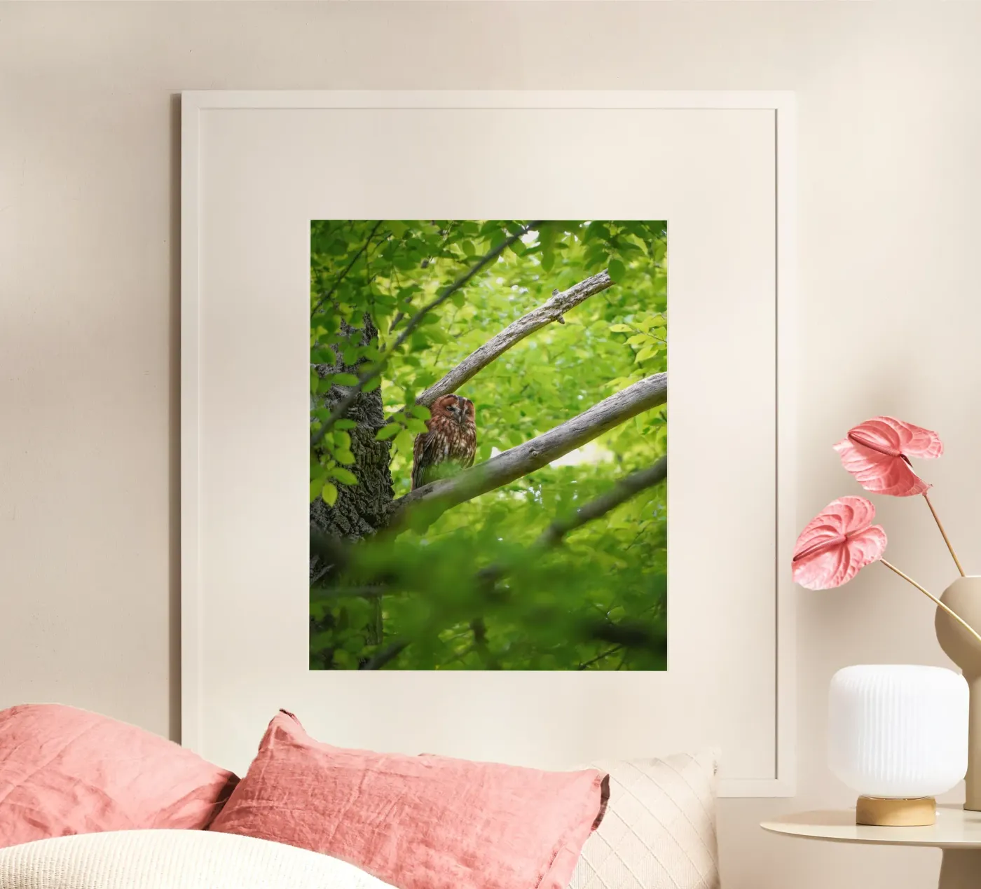 Tawny Owl poster da Tom's Wildlife
