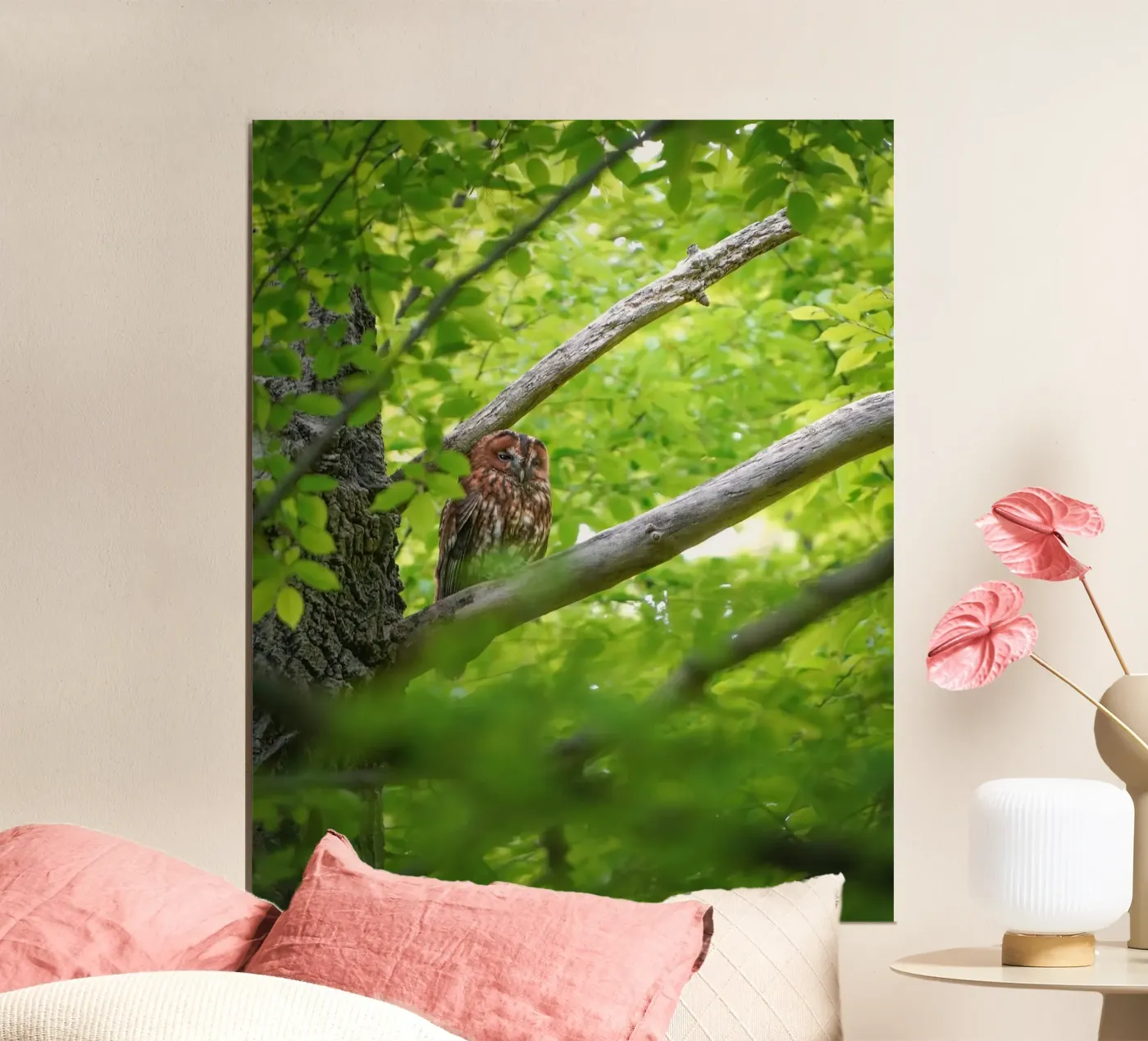 Tawny Owl poster da Tom's Wildlife