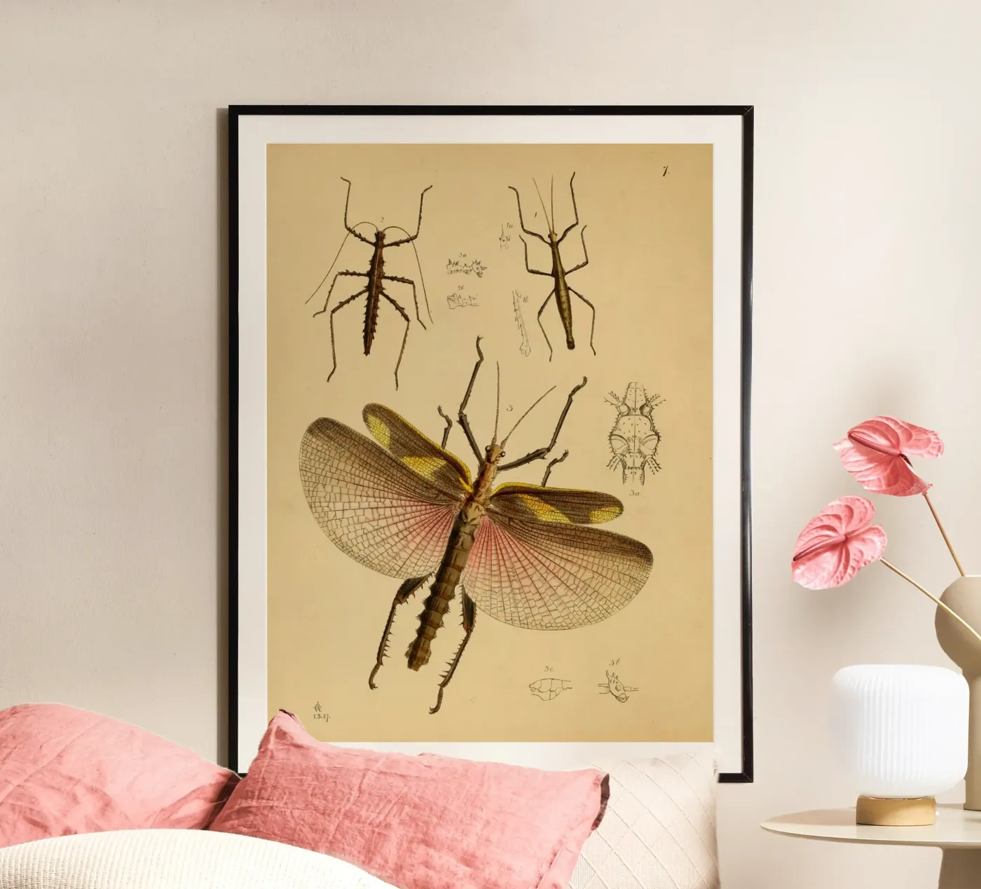 Cherry Wings Poster von vintagebotanics