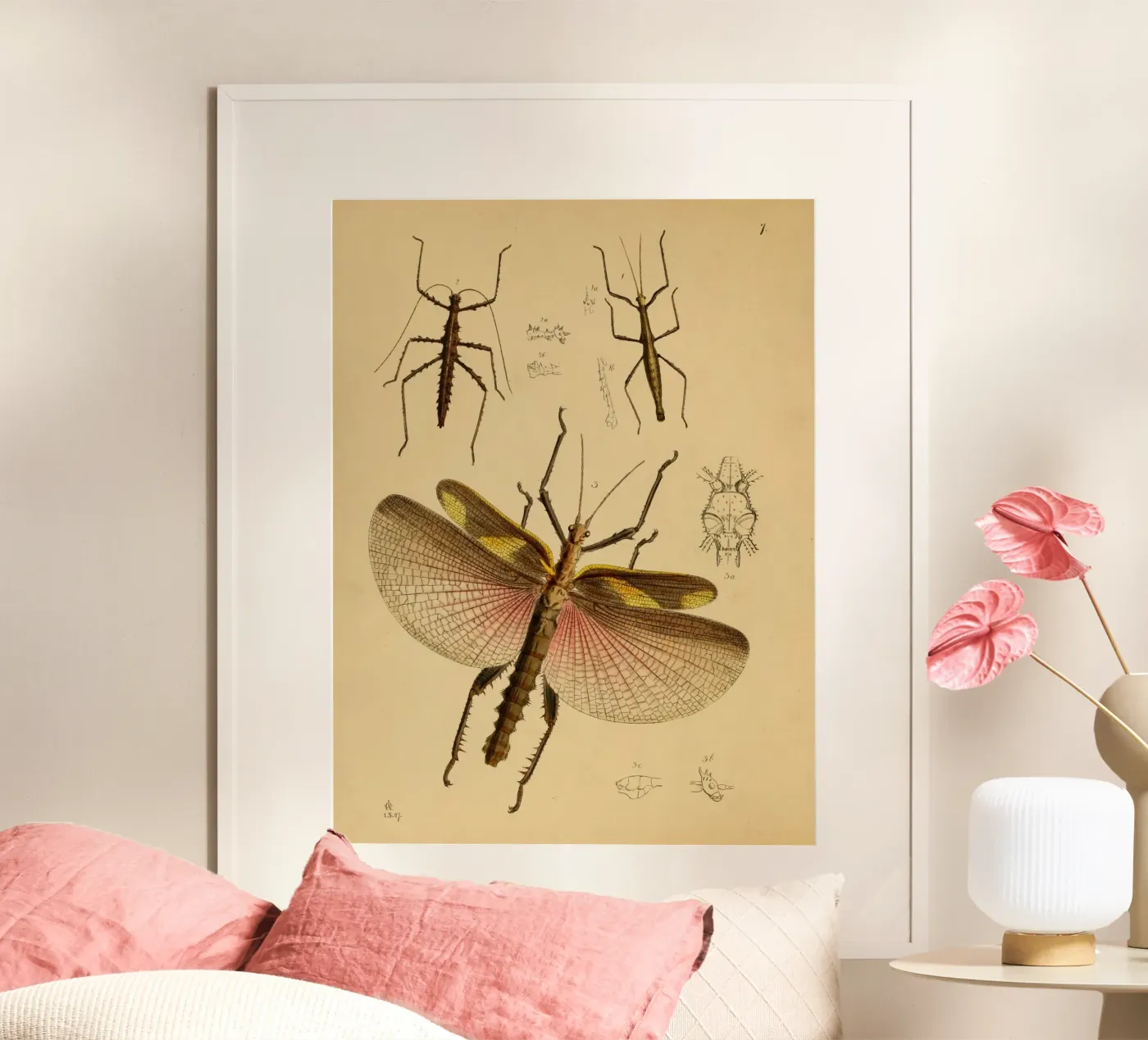 Cherry Wings Poster von vintagebotanics