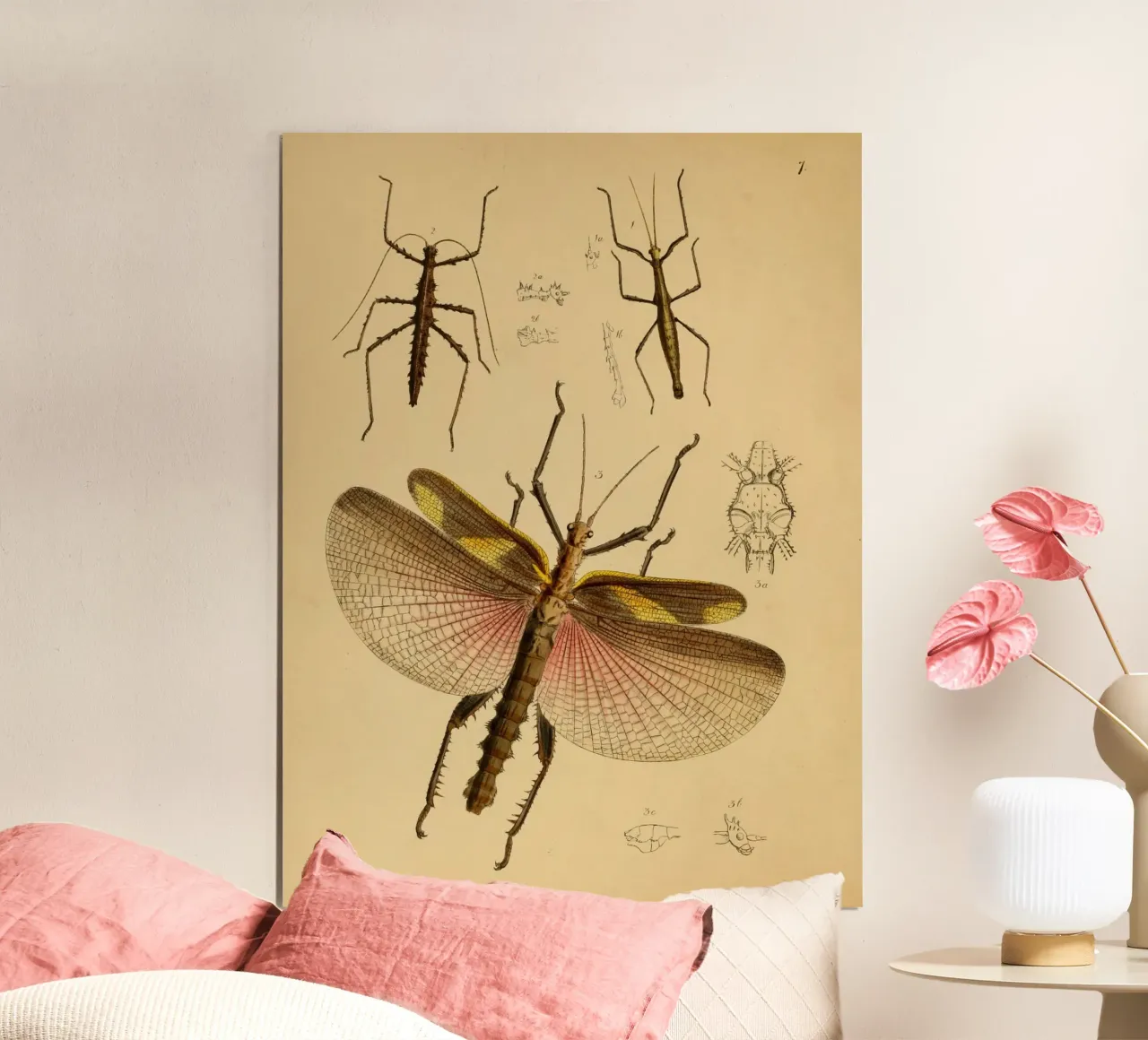Cherry Wings poster da vintagebotanics