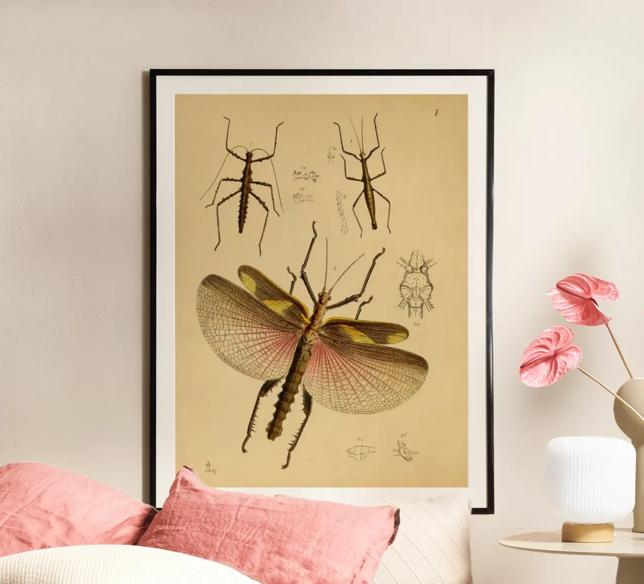 Cherry Wings poster da vintagebotanics