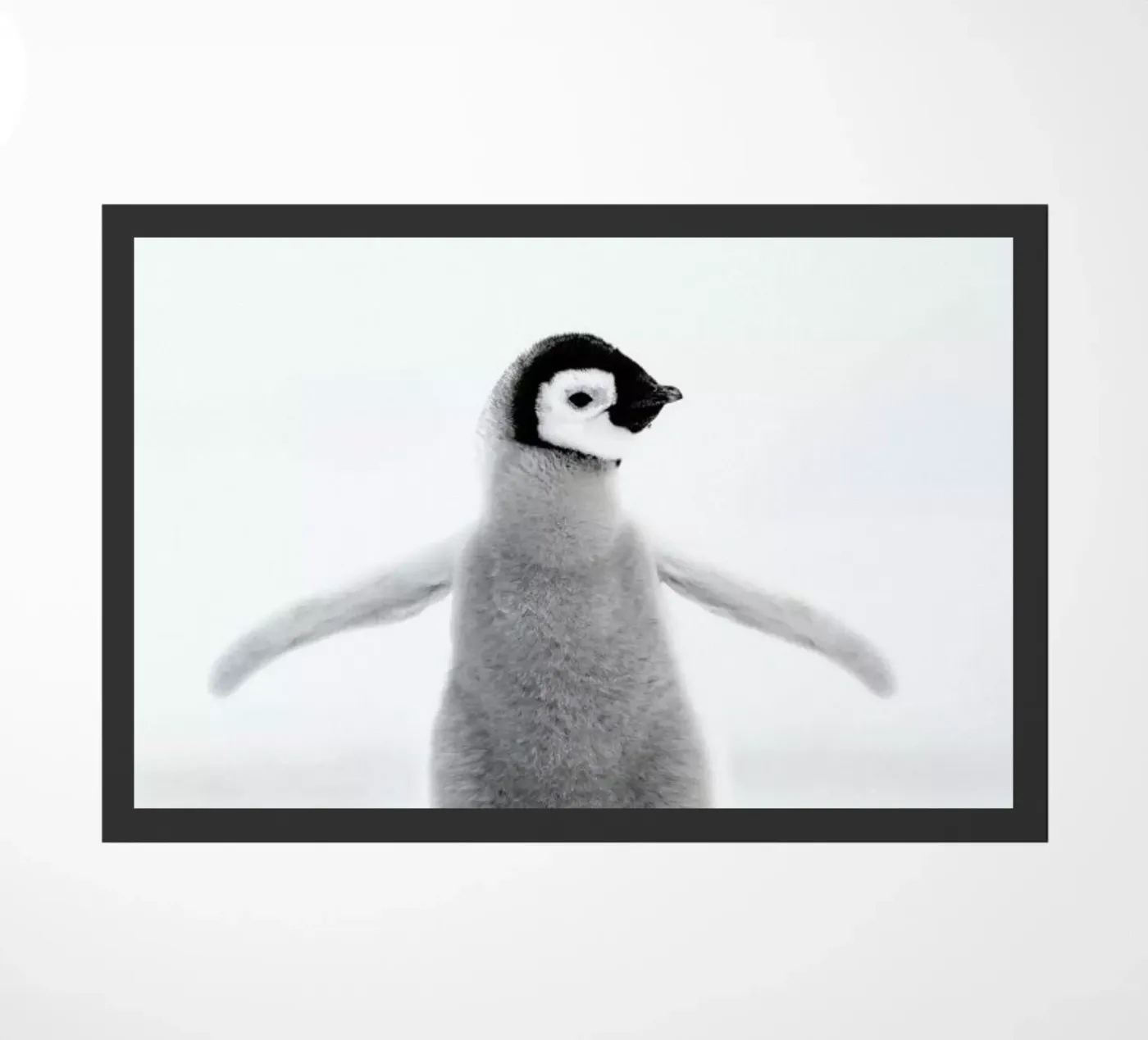 Lone Penguin zerbino da Natural Kingdom