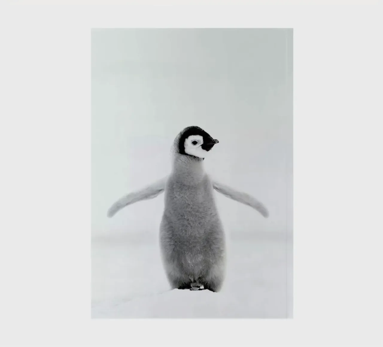 Lone Penguin notebook by Natural Kingdom