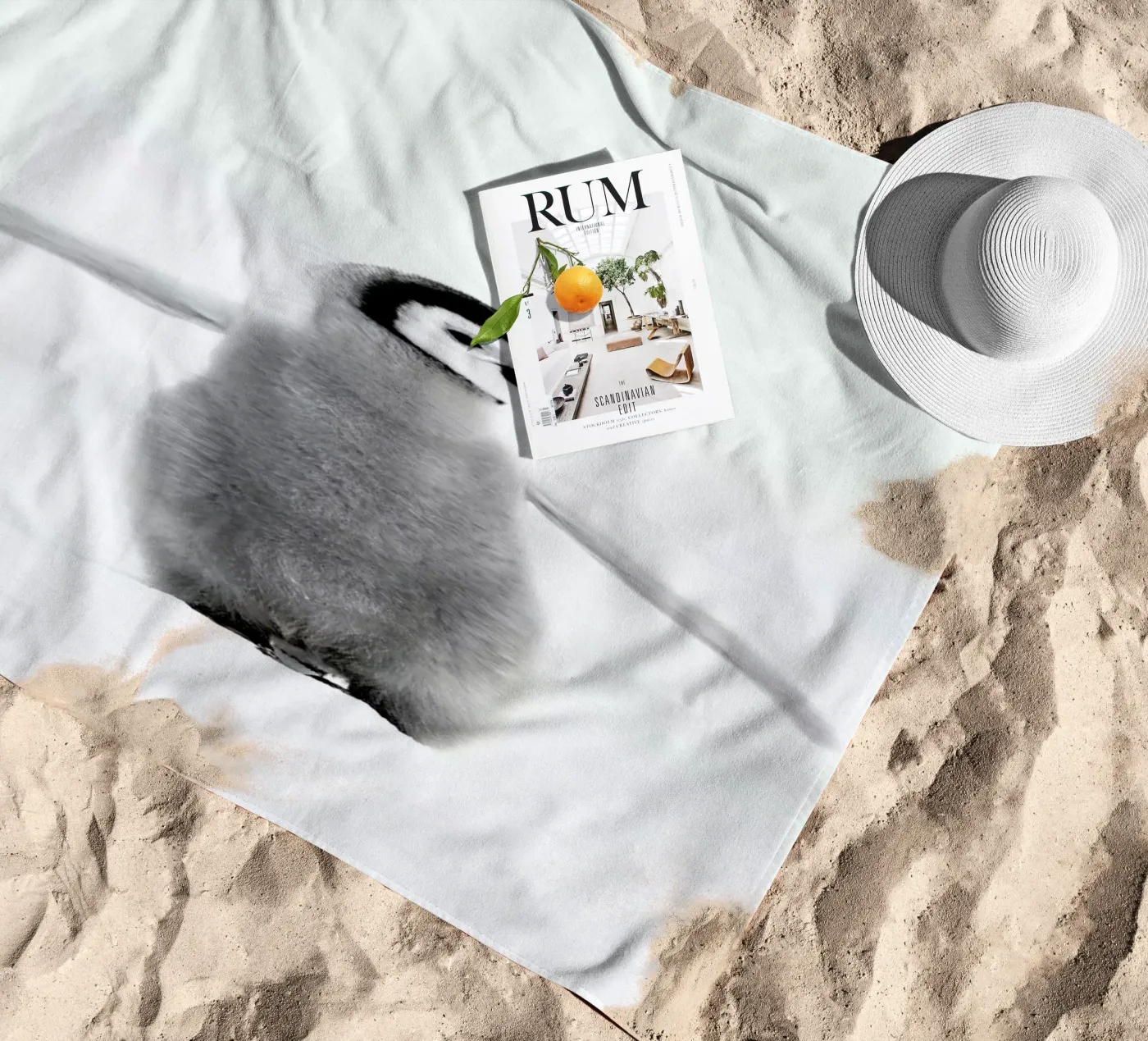 Lone Penguin telo mare da Natural Kingdom