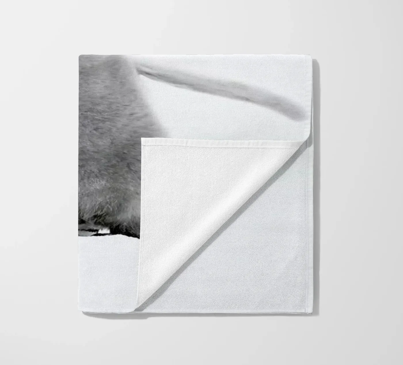 Lone Penguin telo mare da Natural Kingdom