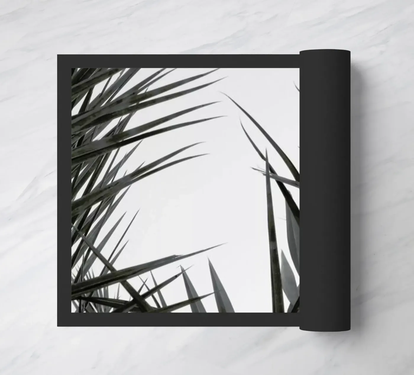 Flourish zerbino da Flora & Fauna