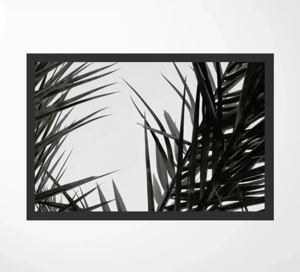 Flourish zerbino da Flora & Fauna