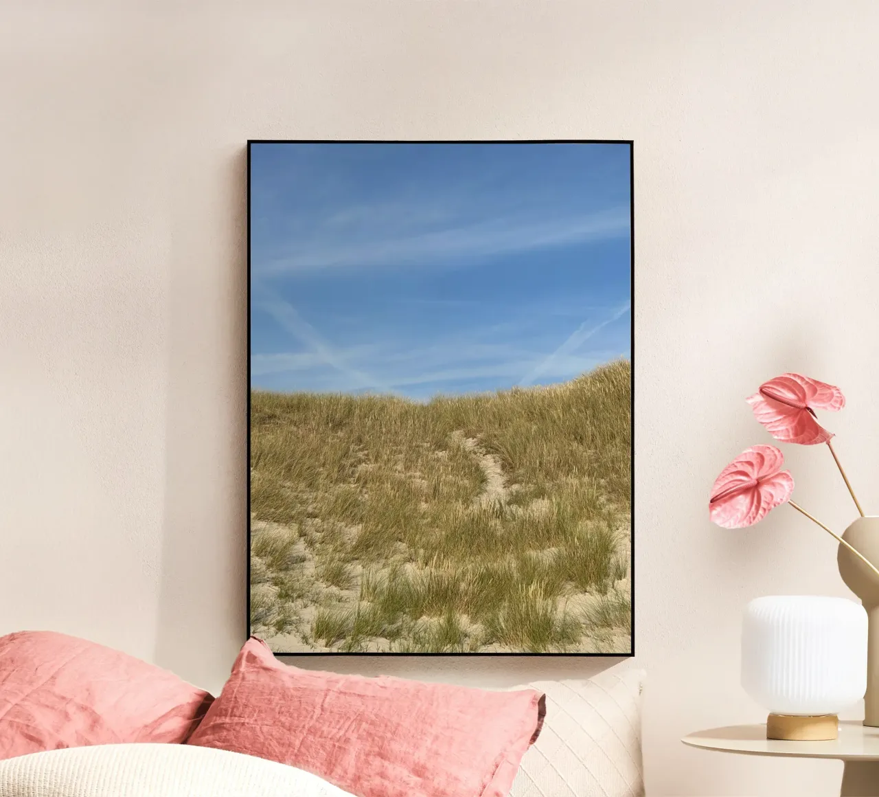 Danish Dunes plexiglass da frame & focus