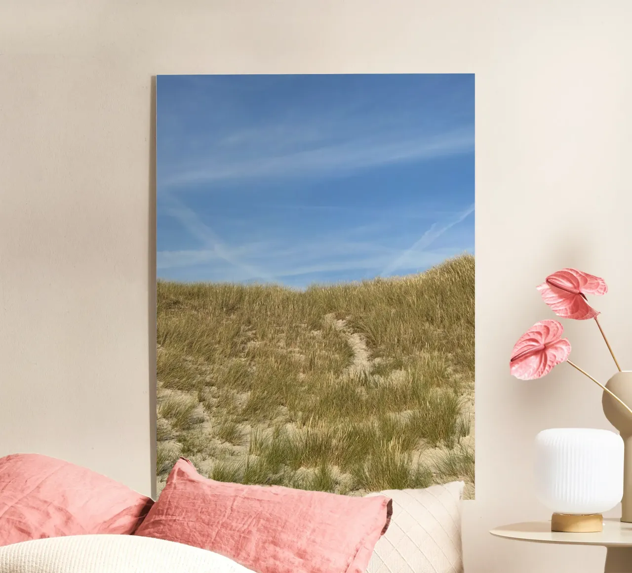 Danish Dunes plexiglass da frame & focus