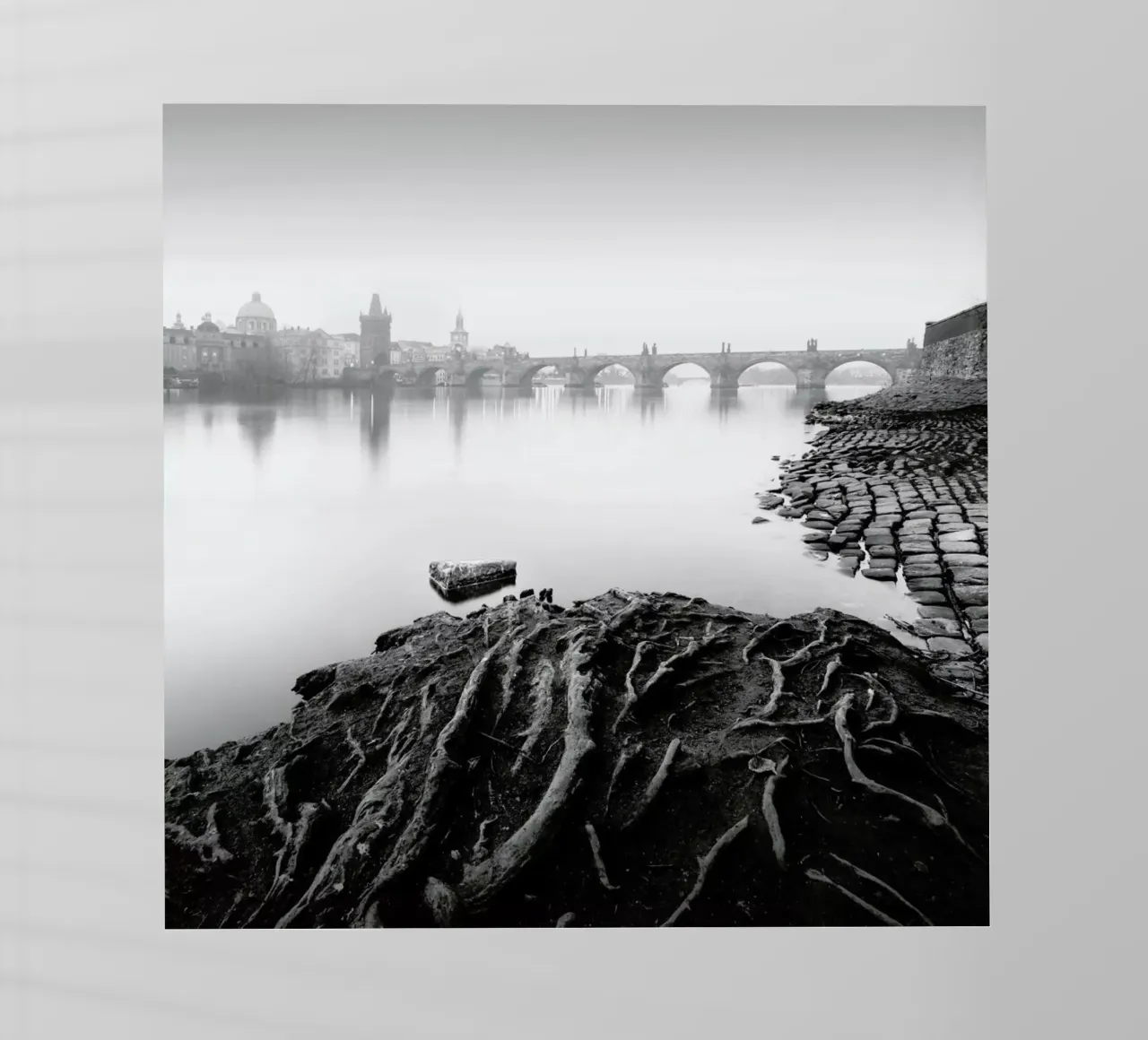 Vltava River Study 8 - Prag 2020 pellicola backlit da Håggard Photography | Ronny Behnert